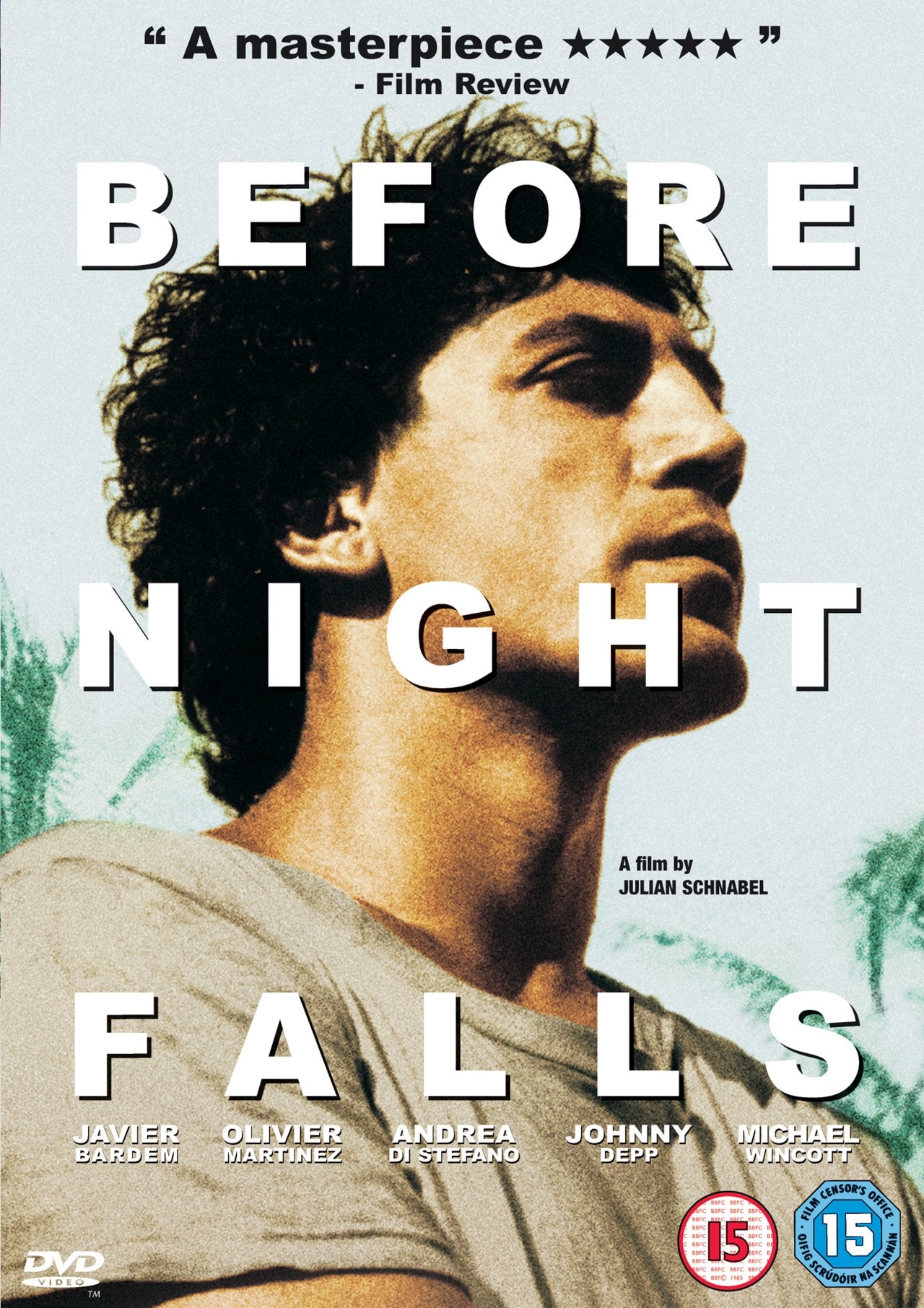 Before Night Falls DVD Free shipping over £20 HMV Store