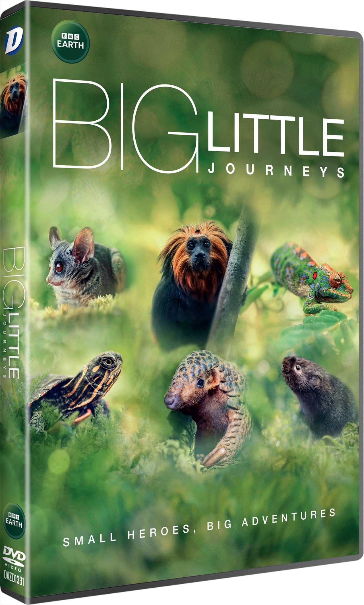 Big Little Journeys | DVD | Free shipping over £25 | HMV Store