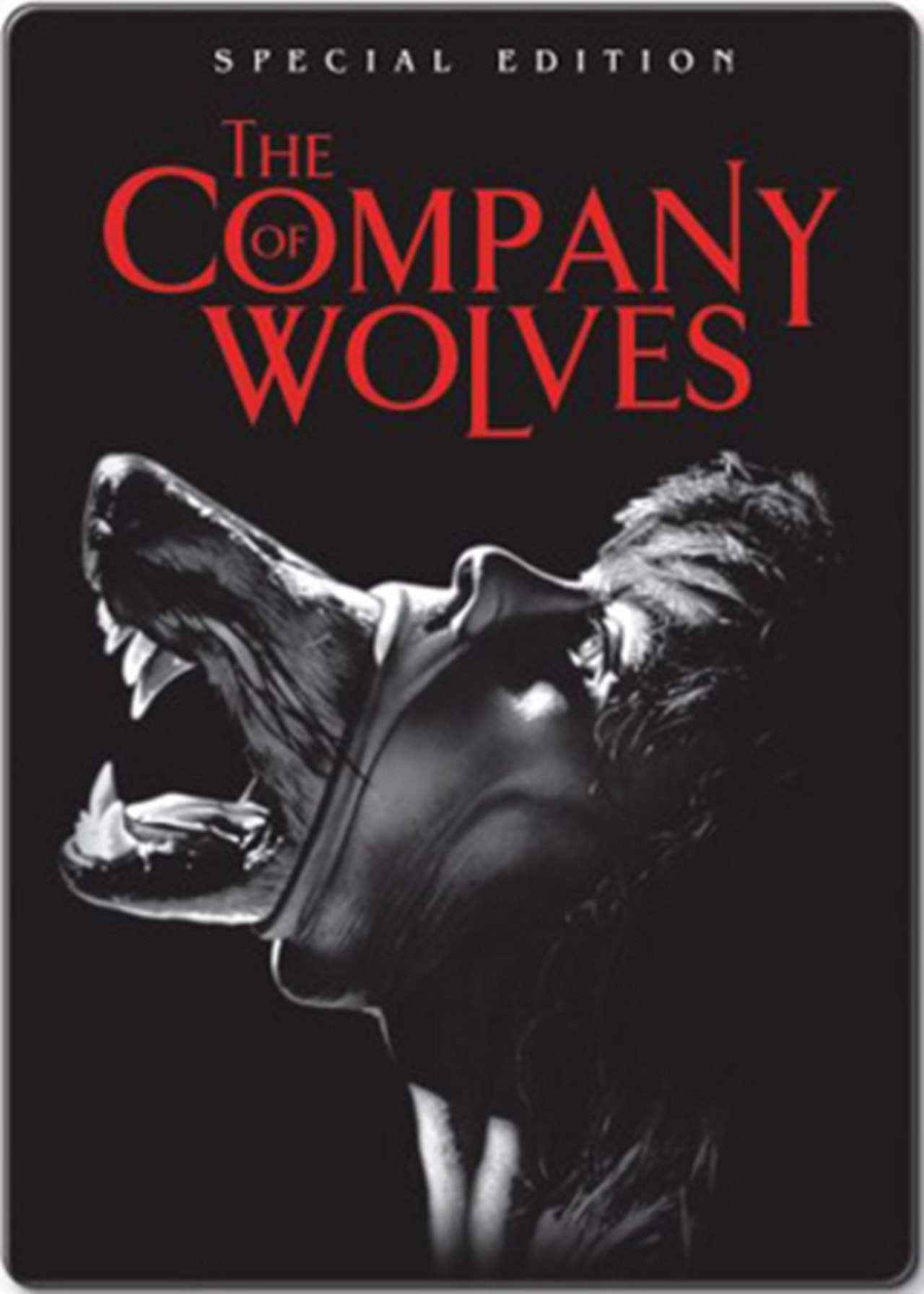 Волк 1984. The Company of Wolves. В Компани Волков. Джорджия слоу the Company of Wolves.