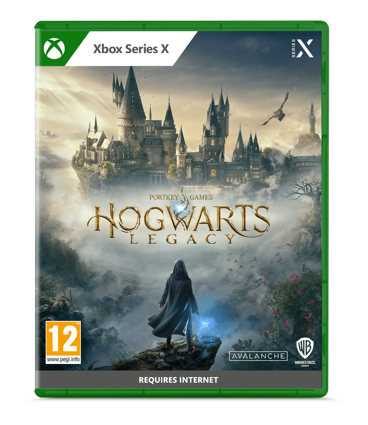 Hogwarts legacy турецкий ps store фото 109