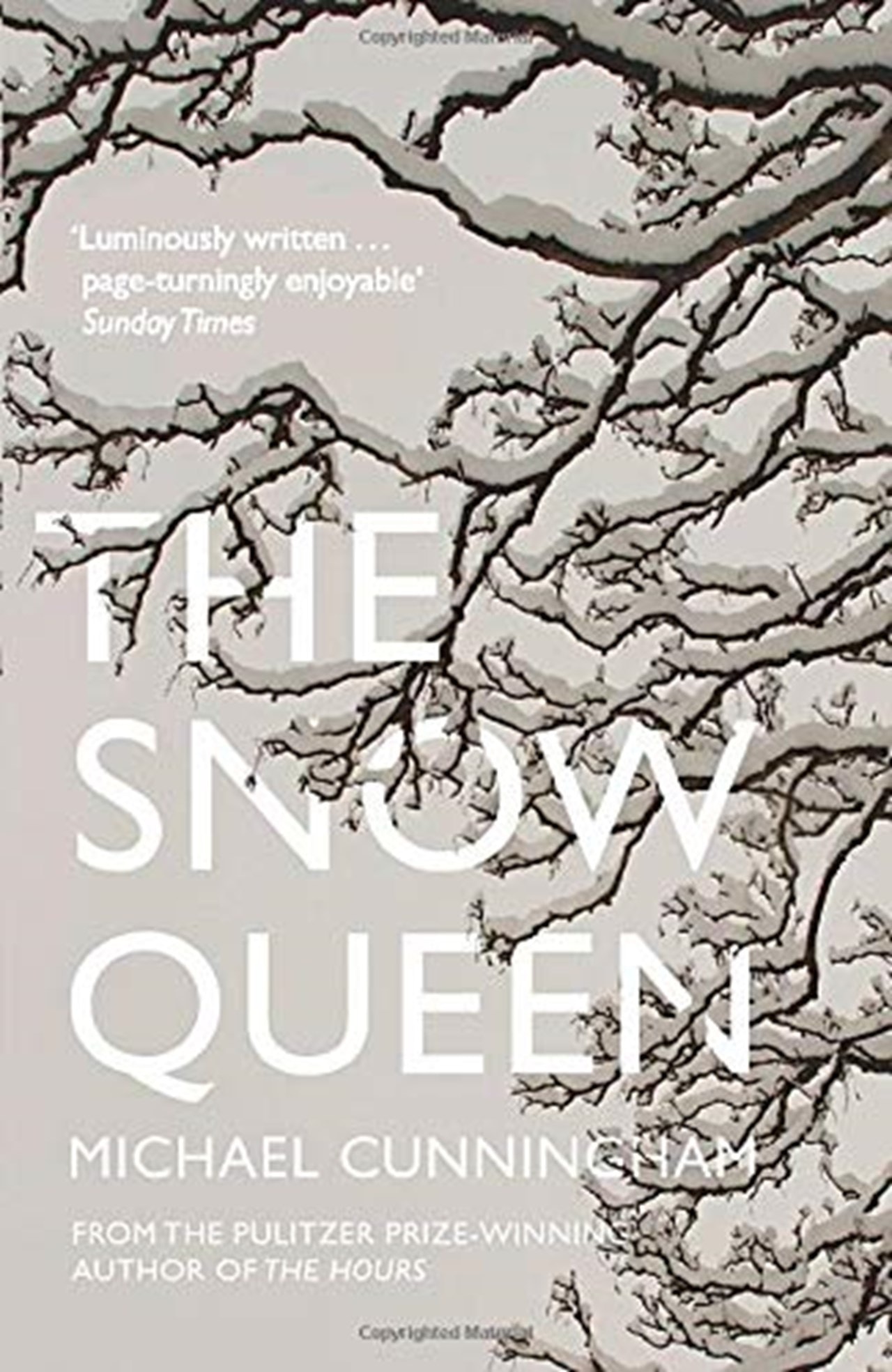 the snow queen vinge novel