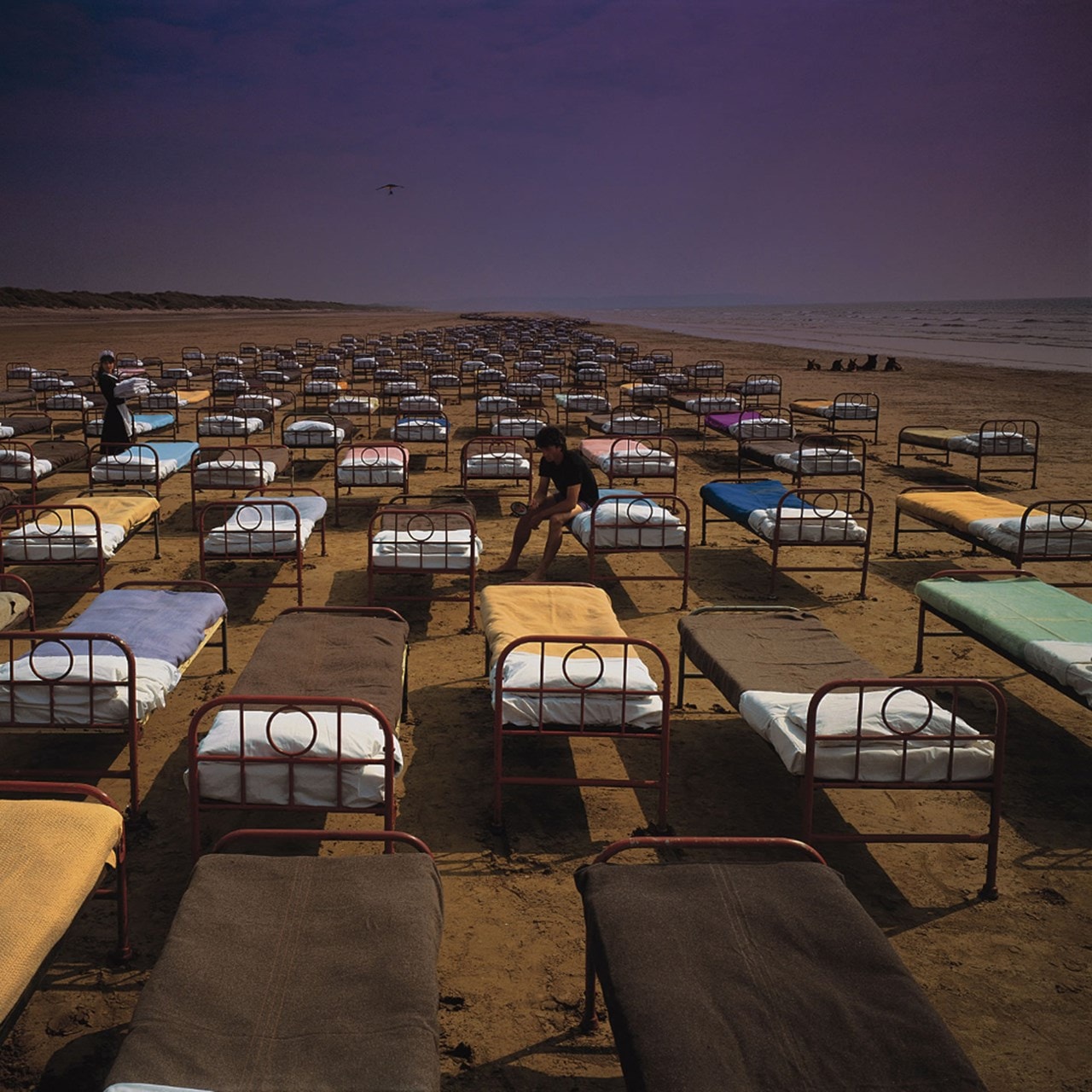 A Momentary Lapse Of Reason Cd Album Free Shipping Over Hmv Store