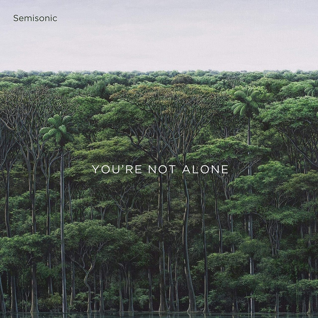 You're Not Alone 12" Vinyl EP Free shipping over £20 HMV Store