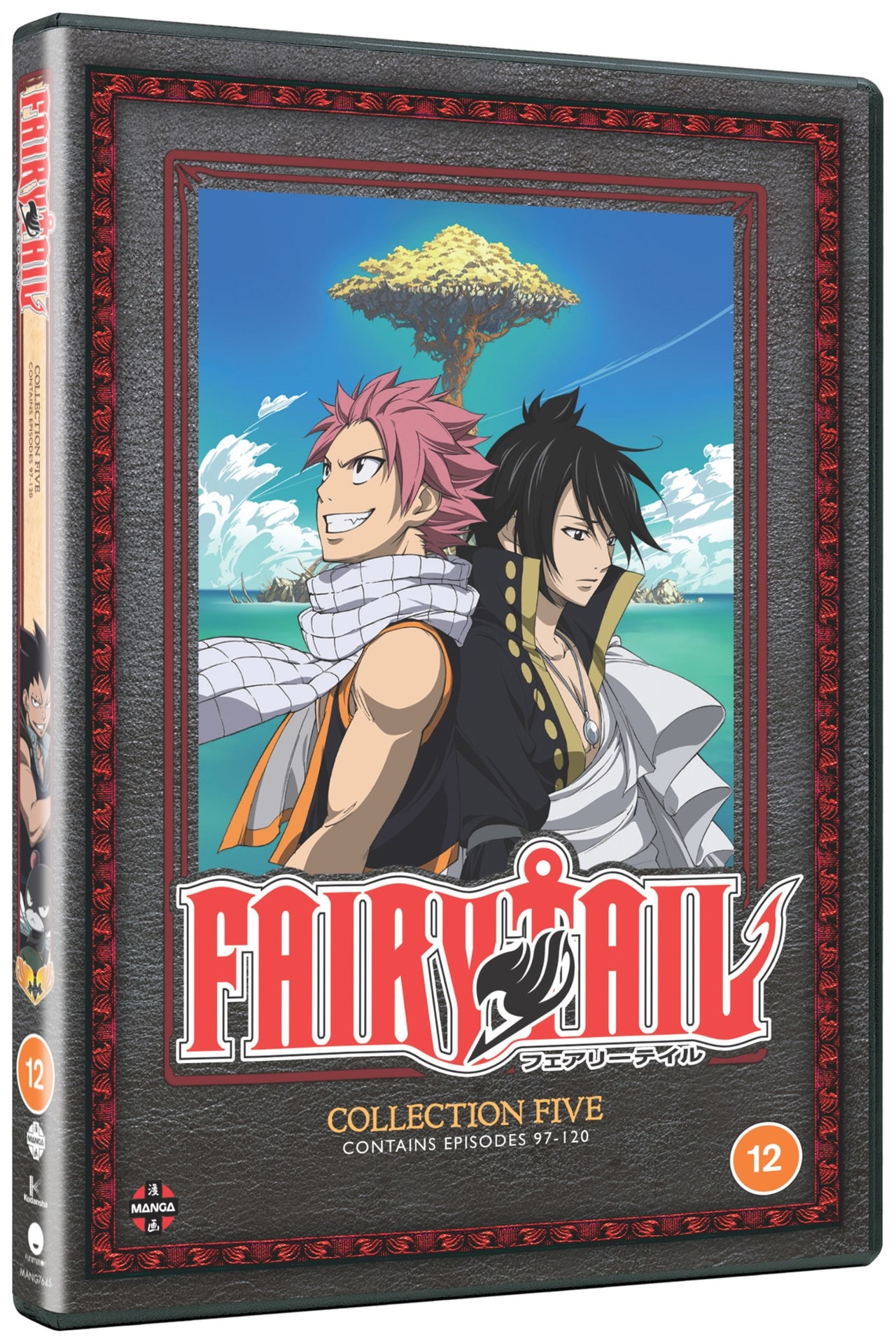 Fairy Tail Collection 5 Dvd Box Set Free Shipping Over Hmv Store