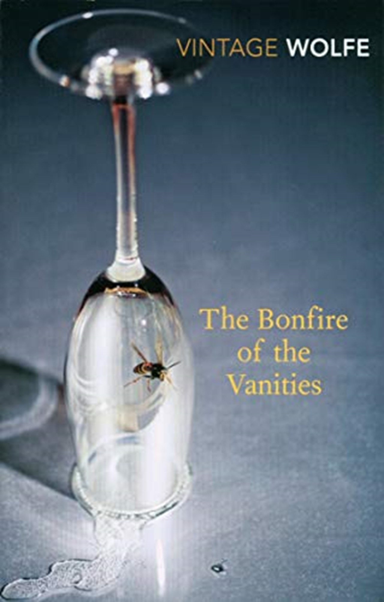 bonfire of the vanities book cover bonfire of the vanities book cover