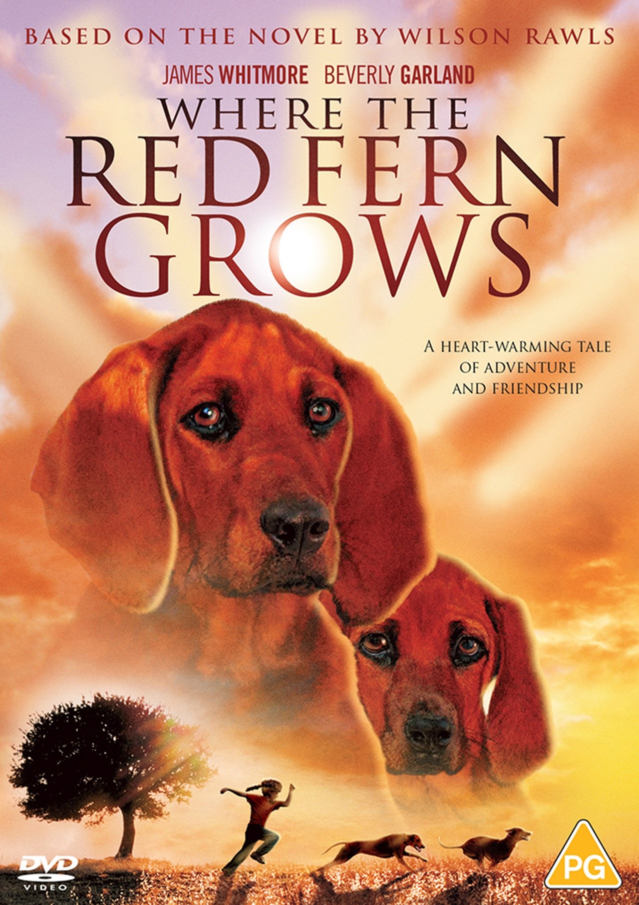 Where The Red Fern Grows Dvd Free Shipping Over £20 Hmv Store 2443