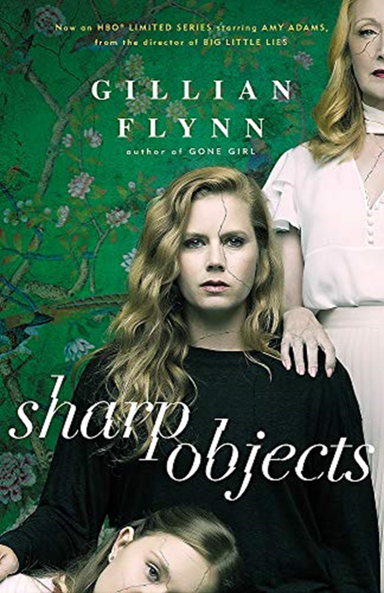 What Is Sharp Objects Book About