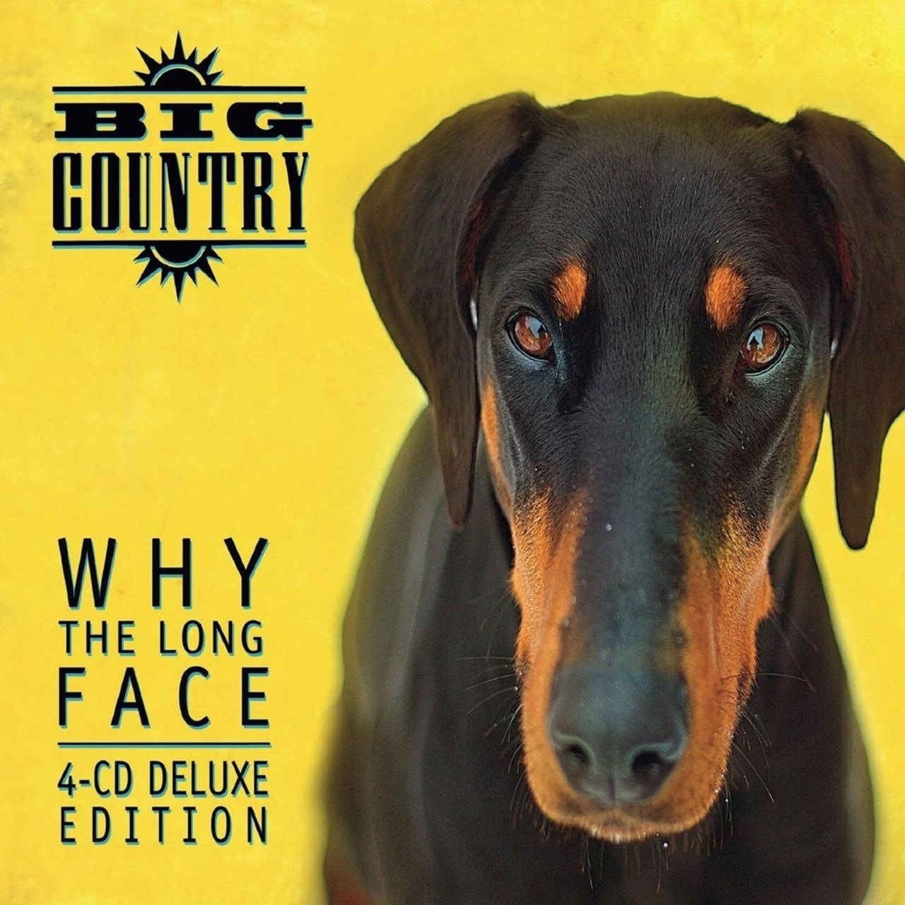 Why The Long Face