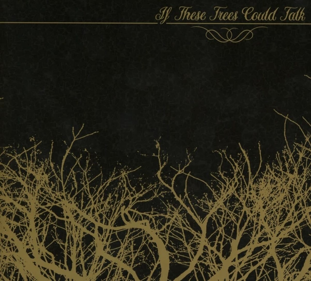 If these trees could talk - 2012 - red forest. Trees could. If these trees could talk 2006. Волк в лесу на закате. If these trees could talk.