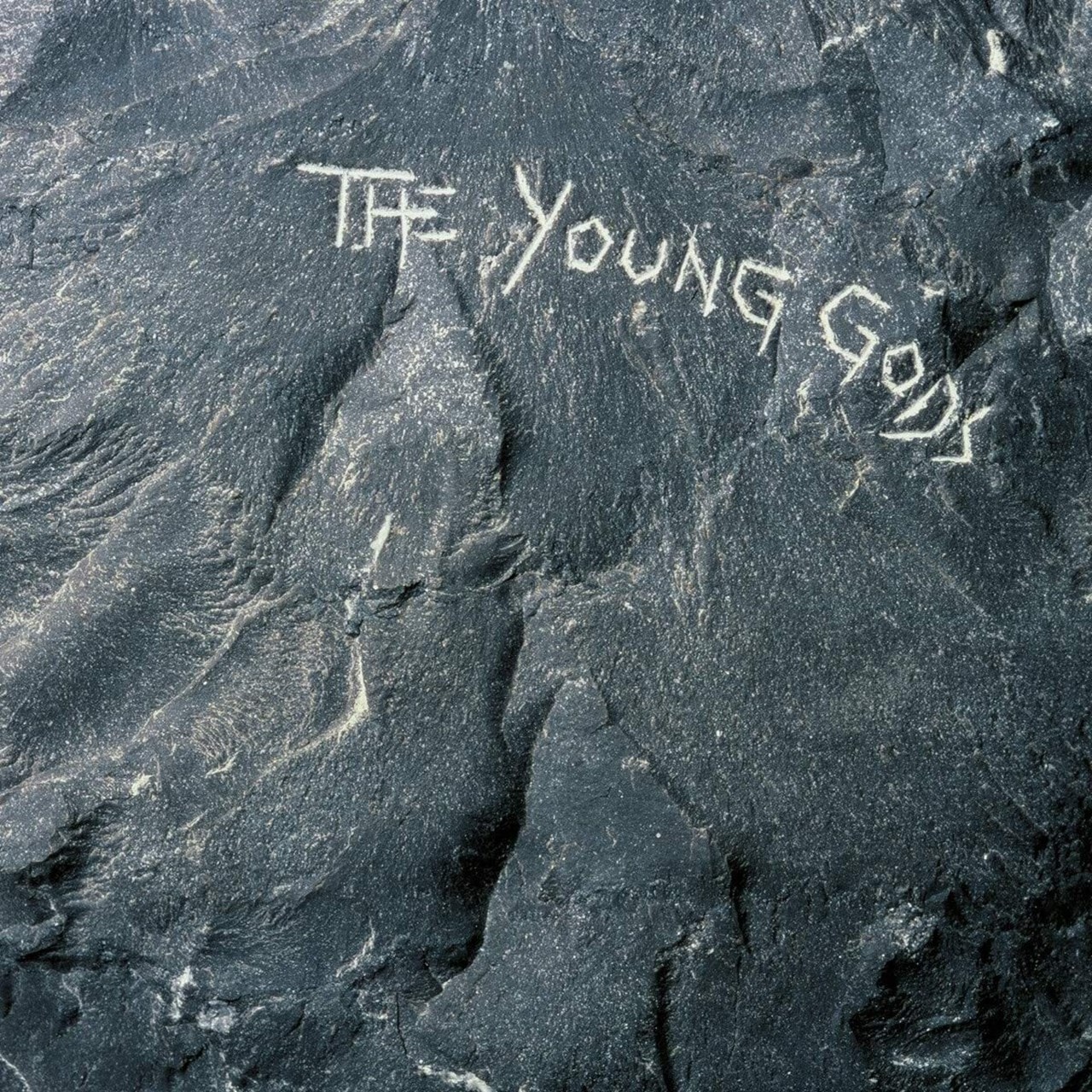 The Young Gods | Vinyl 12\