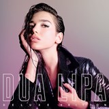 Buy Dua Lipa: The Unauthorized Biography Book Online at Low Prices