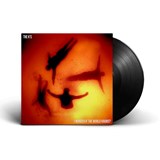 【新品 希少】COSMIC WONDER FREE PRESS 1 新品 希少】COSMIC WONDER FREE PRESS 1 新品 希少】COSMIC WONDER