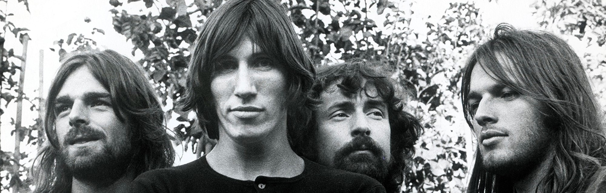 Песни группы пинк флойд. Пинк Флойд в молодости. Группа Pink Floyd в молодости. Пинк Флойд участники. Группа Пинк Флойд.1979..
