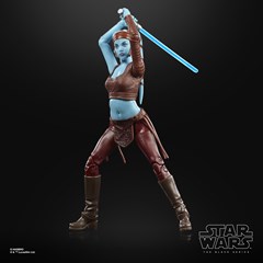 Aayla Secura Hasbro Star Wars Black Series Attack of the Clones Action Figure - 3