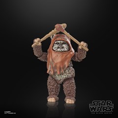 Wicket Hasbro Star Wars The Black Series Return of the Jedi 40th Anniversary Action Figure - 10