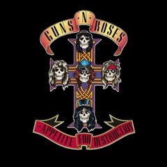 Appetite for Destruction - 1