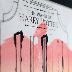 Harry Potter Limited Edition Fan-Cel Art Print - 3
