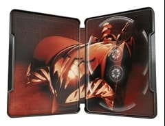 Batman & Robin Ultimate Collector's Edition Steelbook - 5