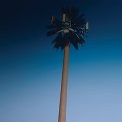 Endless Summer Vacation - White Vinyl - 3
