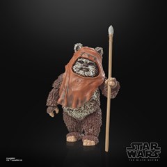 Wicket Hasbro Star Wars The Black Series Return of the Jedi 40th Anniversary Action Figure - 8