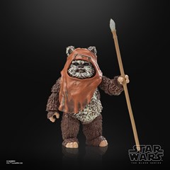 Wicket Hasbro Star Wars The Black Series Return of the Jedi 40th Anniversary Action Figure - 7