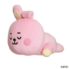 Cooky BT21 Mini Cushion - 3