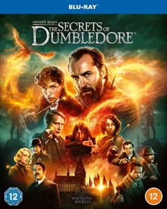 Fantastic Beasts: The Secrets of Dumbledore - 1