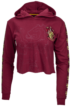 harry potter gryffindor jacket
