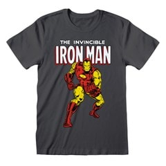 Marvel Comics: Iron Man (Small) - 1