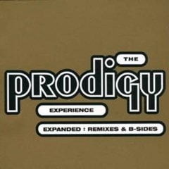 The Prodigy Experience: Expanded: Remixes and B-sides - 1