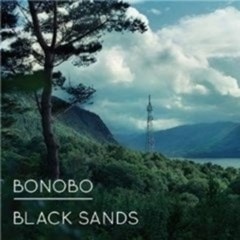 Black Sands - 1