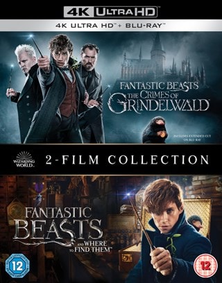 Fantastic Beasts: 2-film Collection