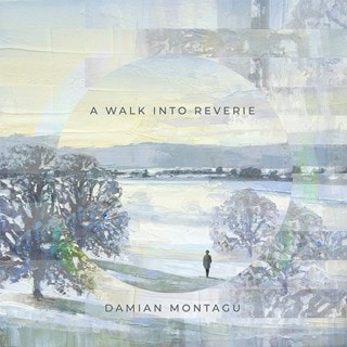 Damian Montagu: A Walk Into Reverie