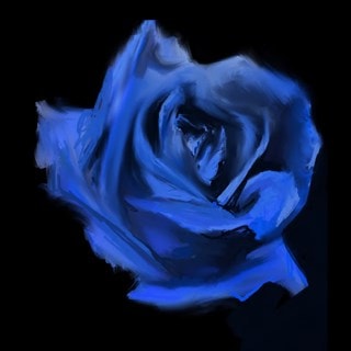 ROSEBUD