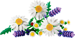 Daisies LEGO Botanicals