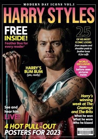 Harry Styles Mod Day Icons Magazine