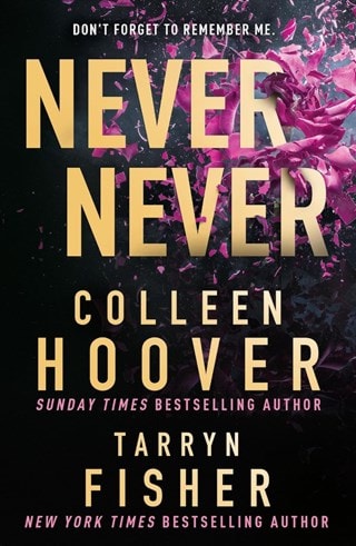 Never Never Paperback By Colleen Hoover
