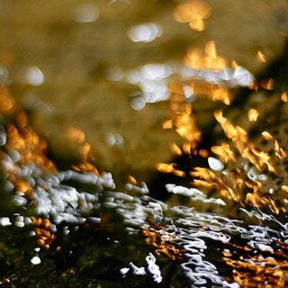 Instants & Their Echoes