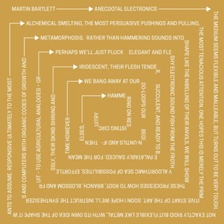 Anecdotal Electronics: Live Experiments & Other Recordings