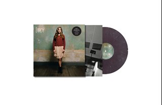 Birdy - Recycled Vinyl