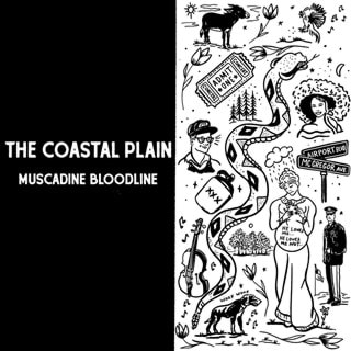 The Coastal Plain