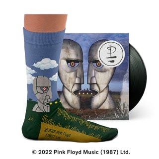 Division Bell Pink Floyd Socks
