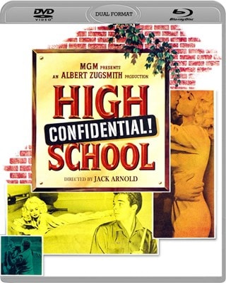 High School Confidential!