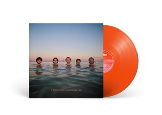 If Heaven Looks a Little Like This - Limited Edition Colour Vinyl