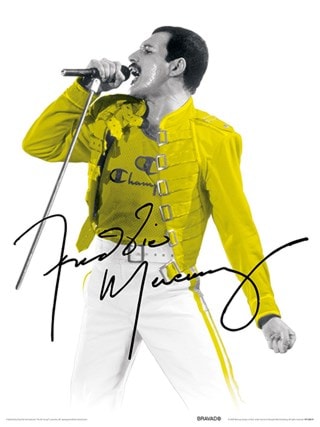 Yellow Jacket Freddie Mercury 30x40cm Print