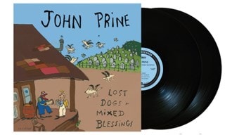 Lost Dogs and Mixed Blessings