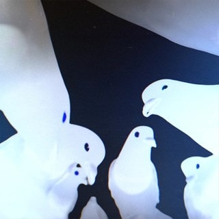 Friedrich 2LP