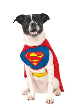 Superman Dog Cosplay Costume