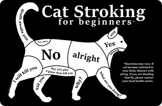 Cat Stroking For Beginners Tin Sign