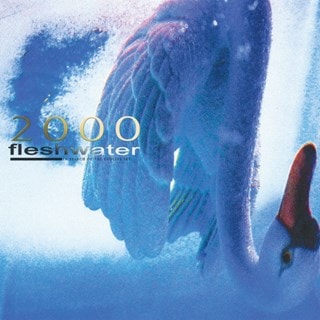 2000: In Search of the Endless Sky